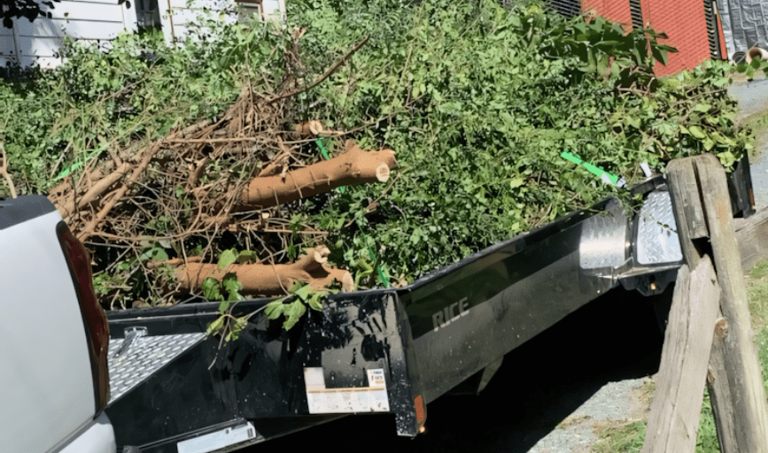 JUNK REMOVAL